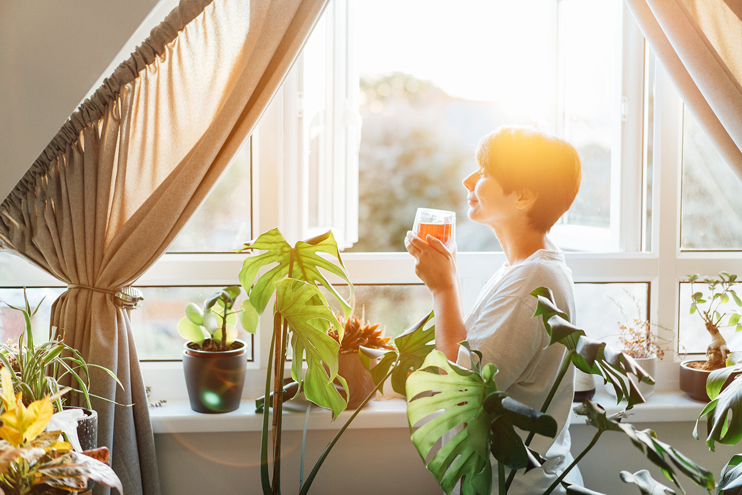 The Benefits of Clean Air: Why Indoor Air Quality Matters More Than Ever