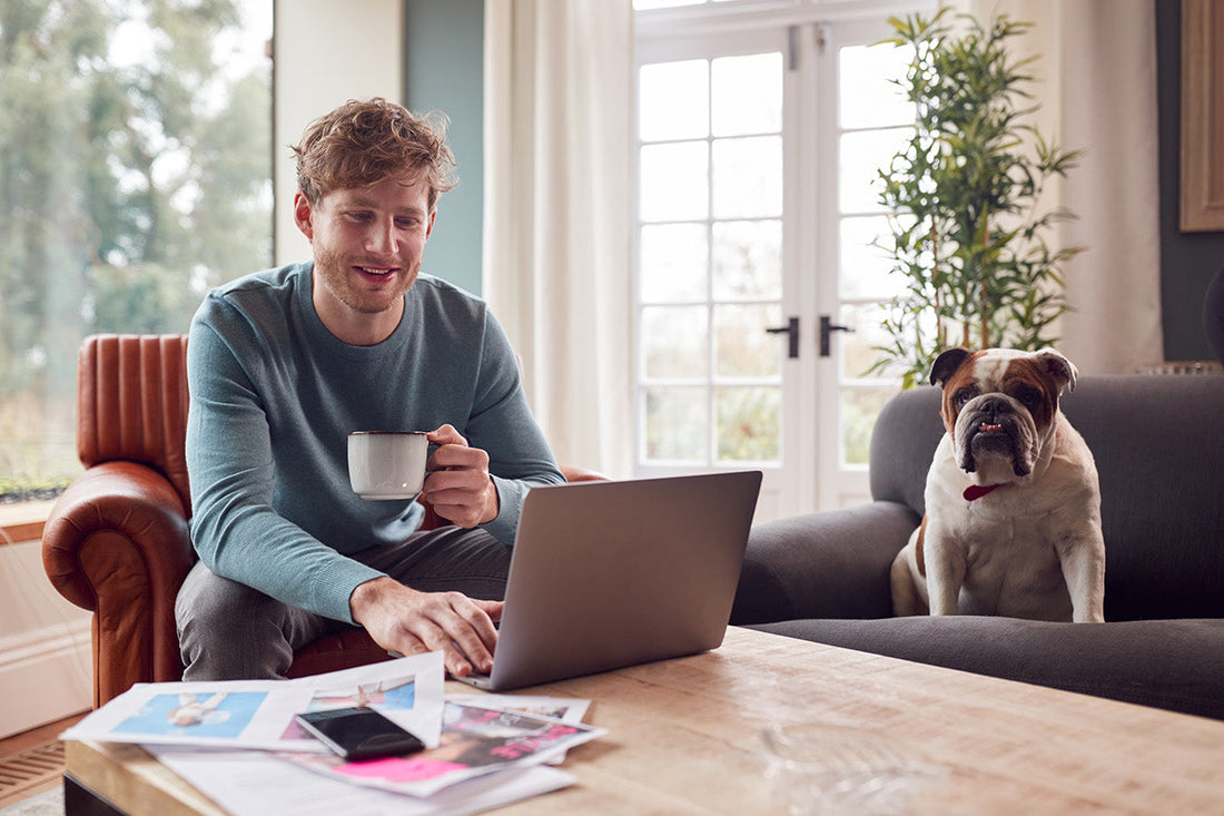 Breathe Better, Work Smarter: Transforming Your Home Office into a High-Performance Sanctuary